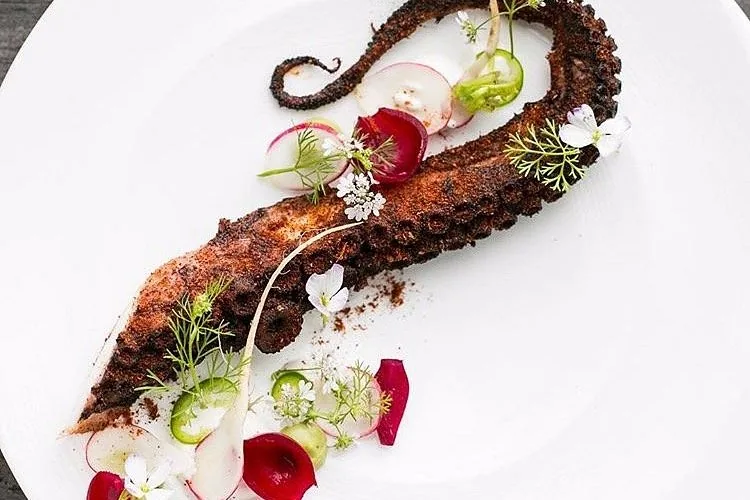 71above - octopus