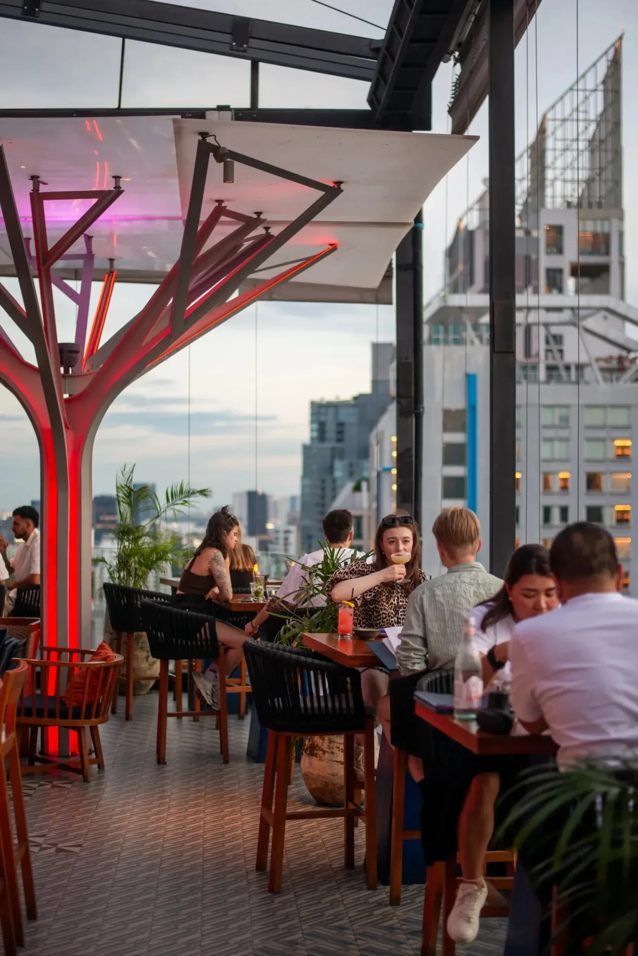 Above Eleven - red tree terrace