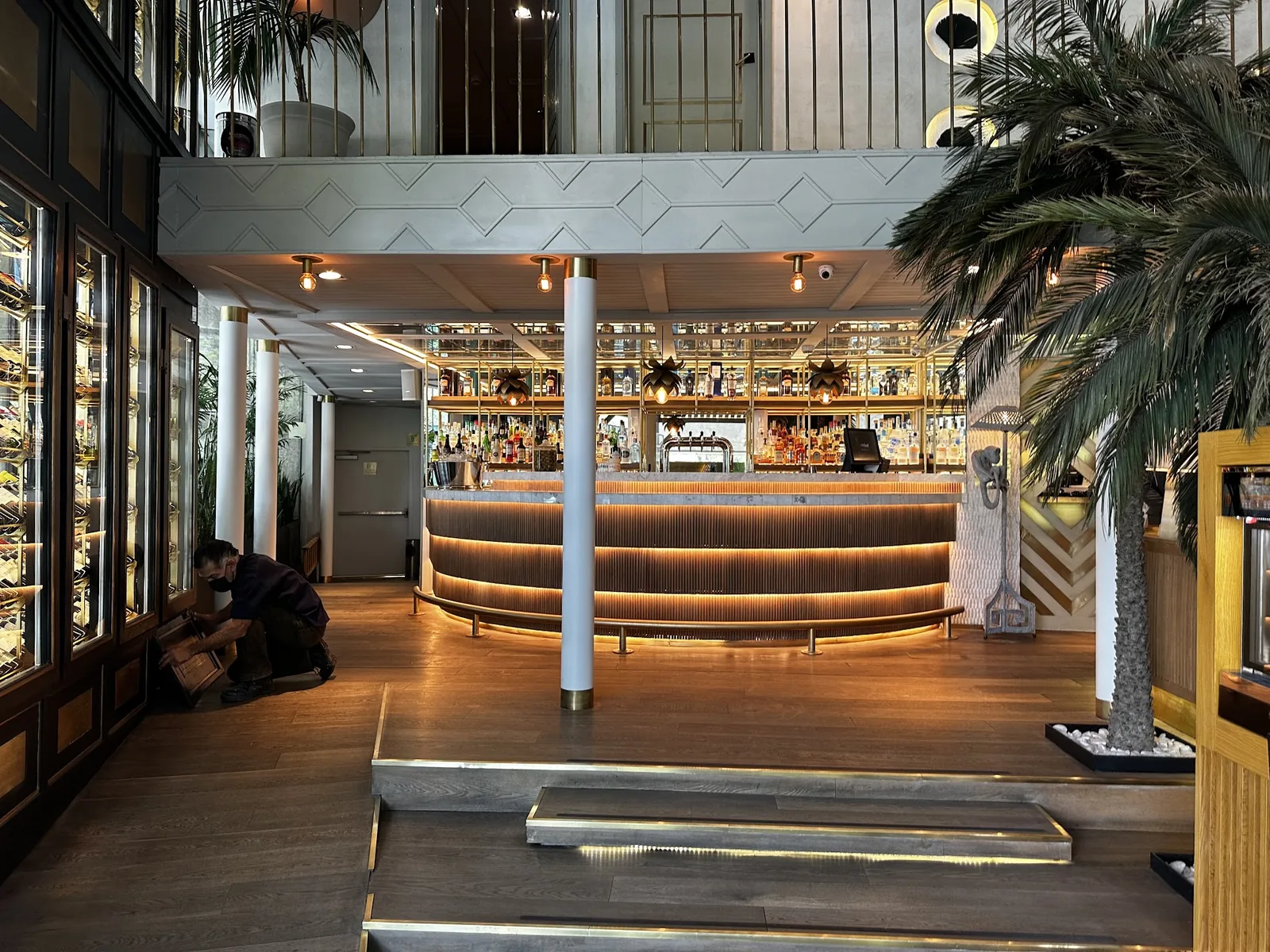 AITANA - bar and lobby area with palm