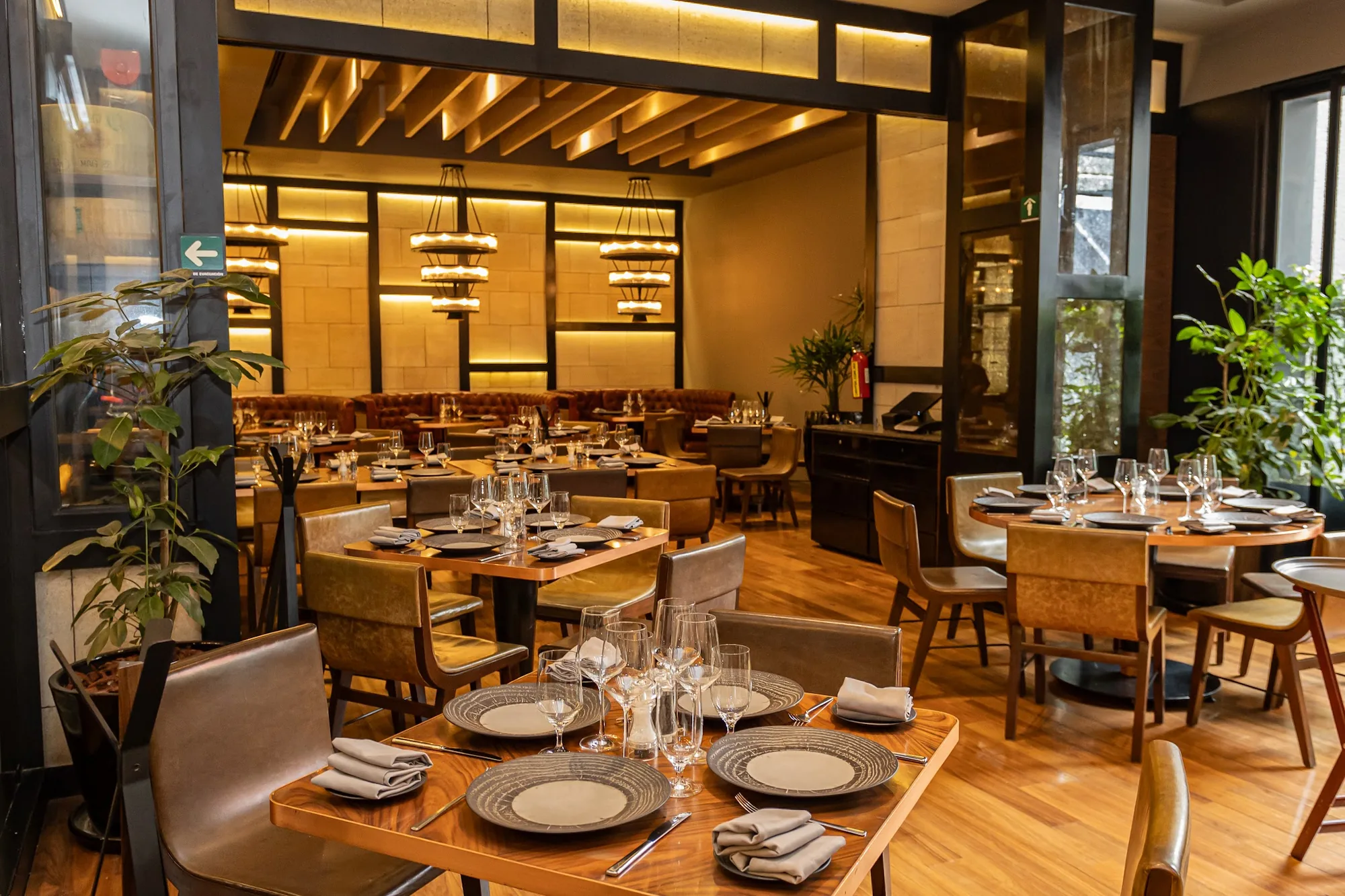 Alfredo Di Roma - Polanco - restaurant in Mexico City