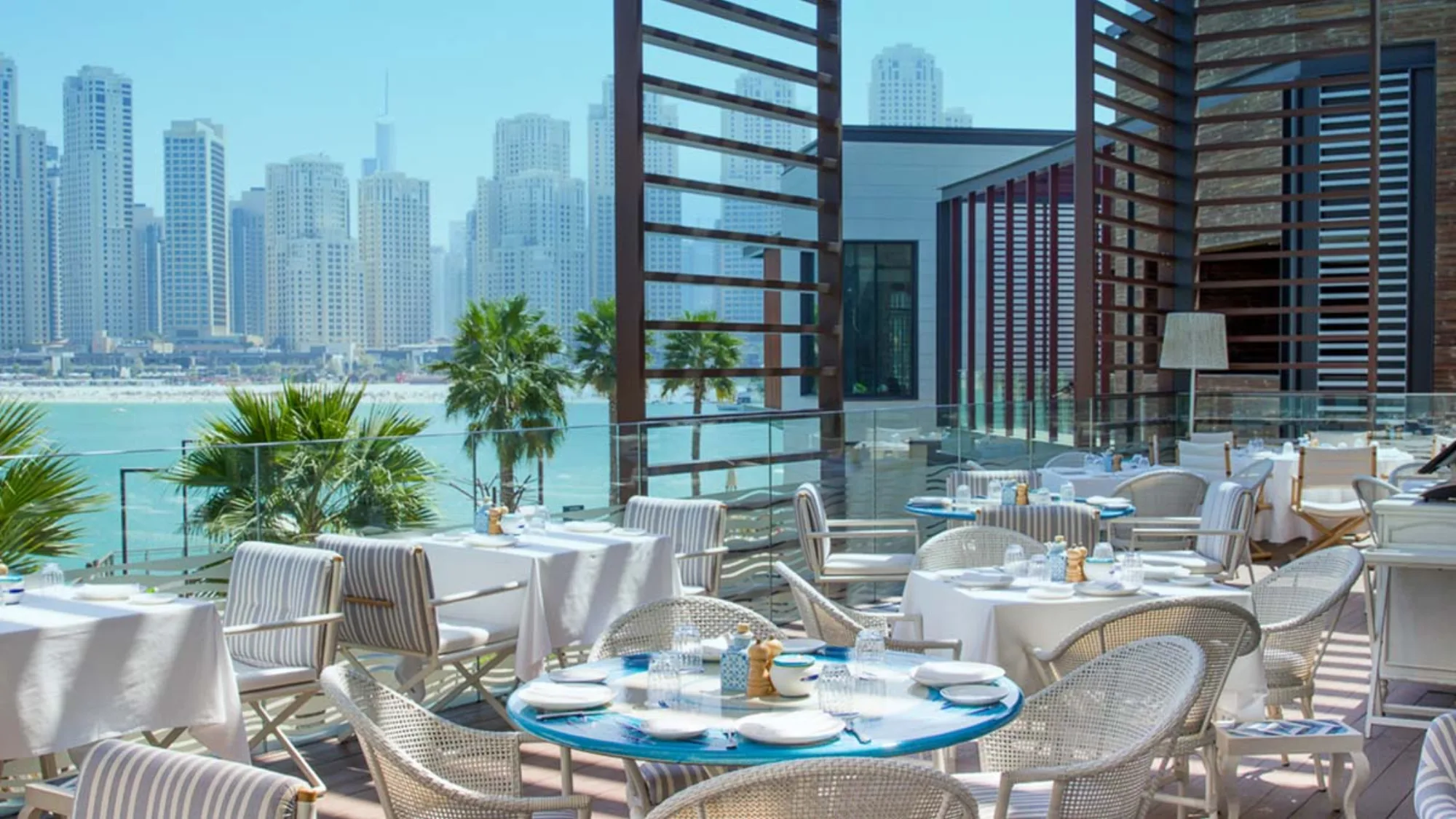 Alici - terrace palms marina