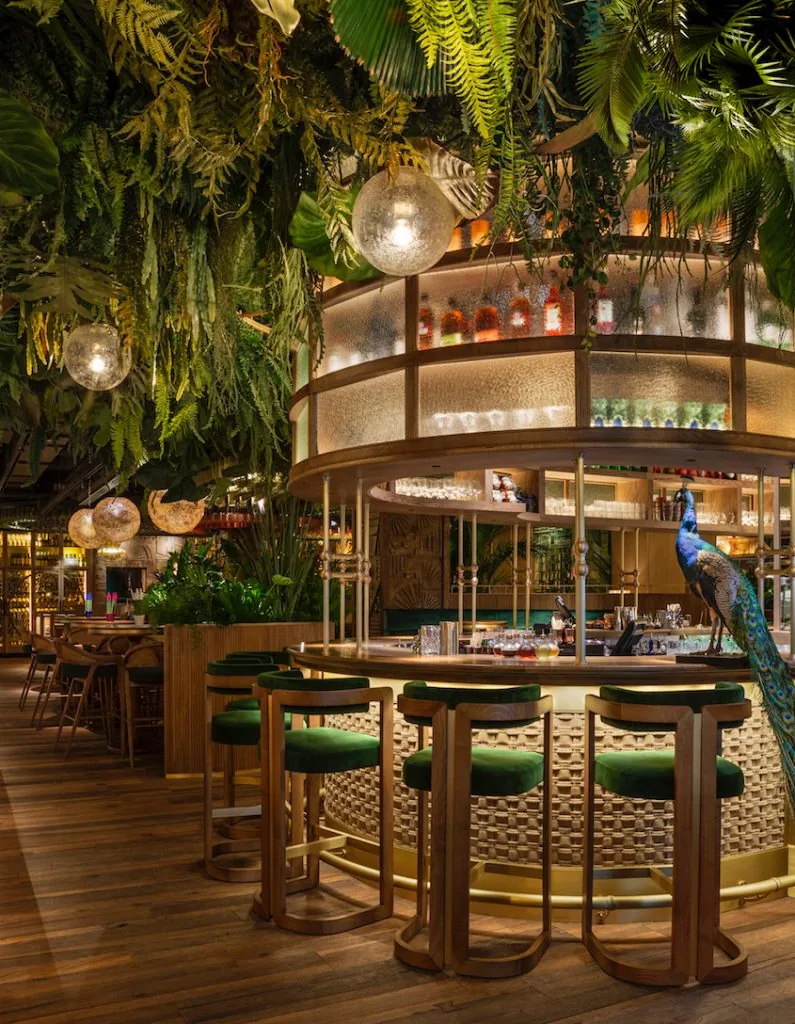 Amazónico - interior