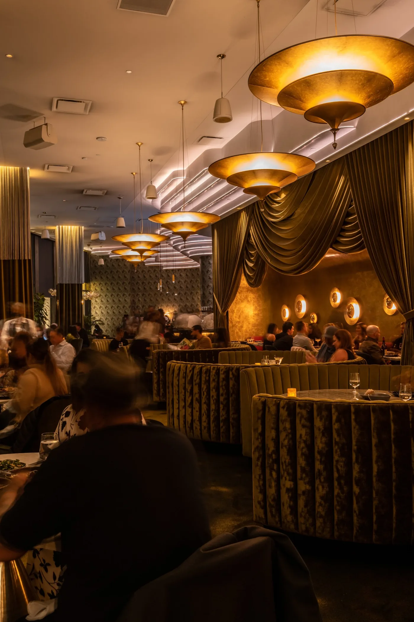 Animae - dining room lounge