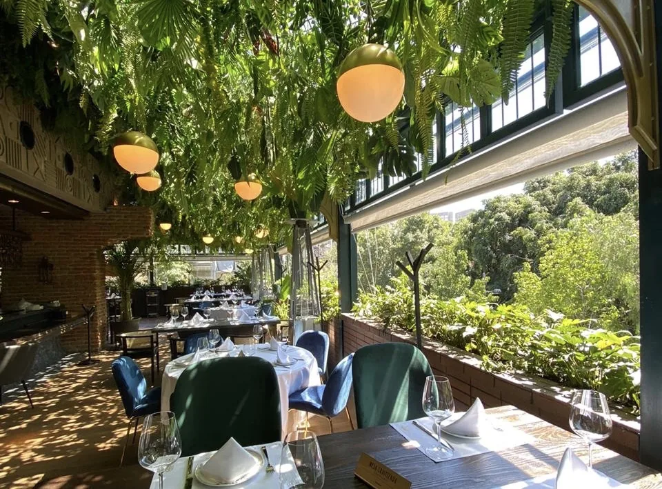 Animal - Masaryk - interior dining room garden windows