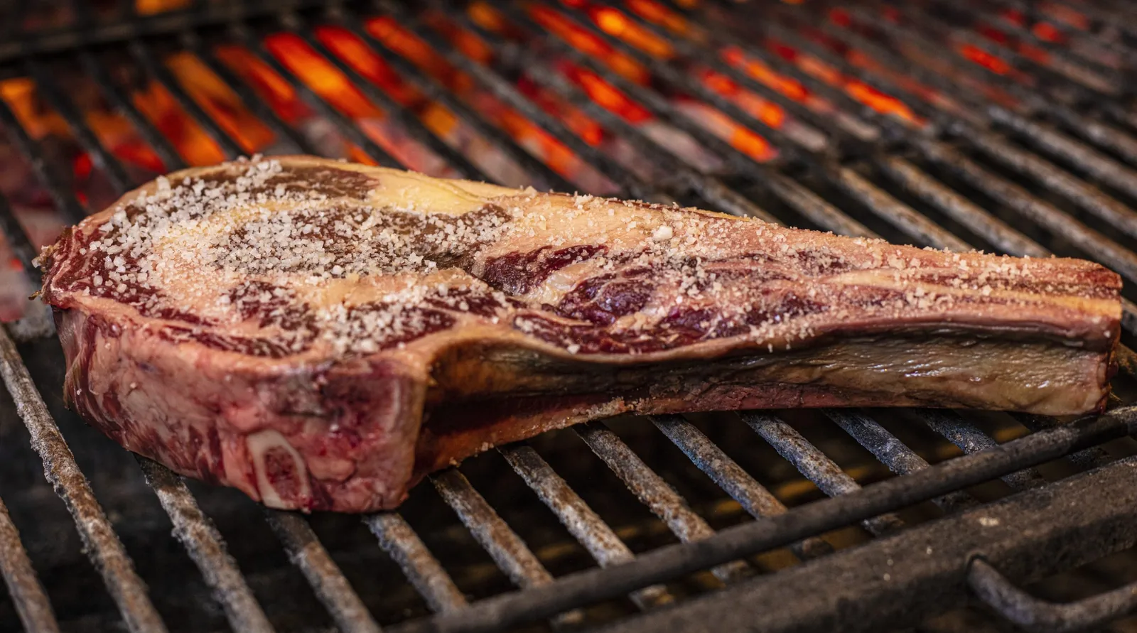 Animal - Masaryk - dish ribeye on charcoal grill