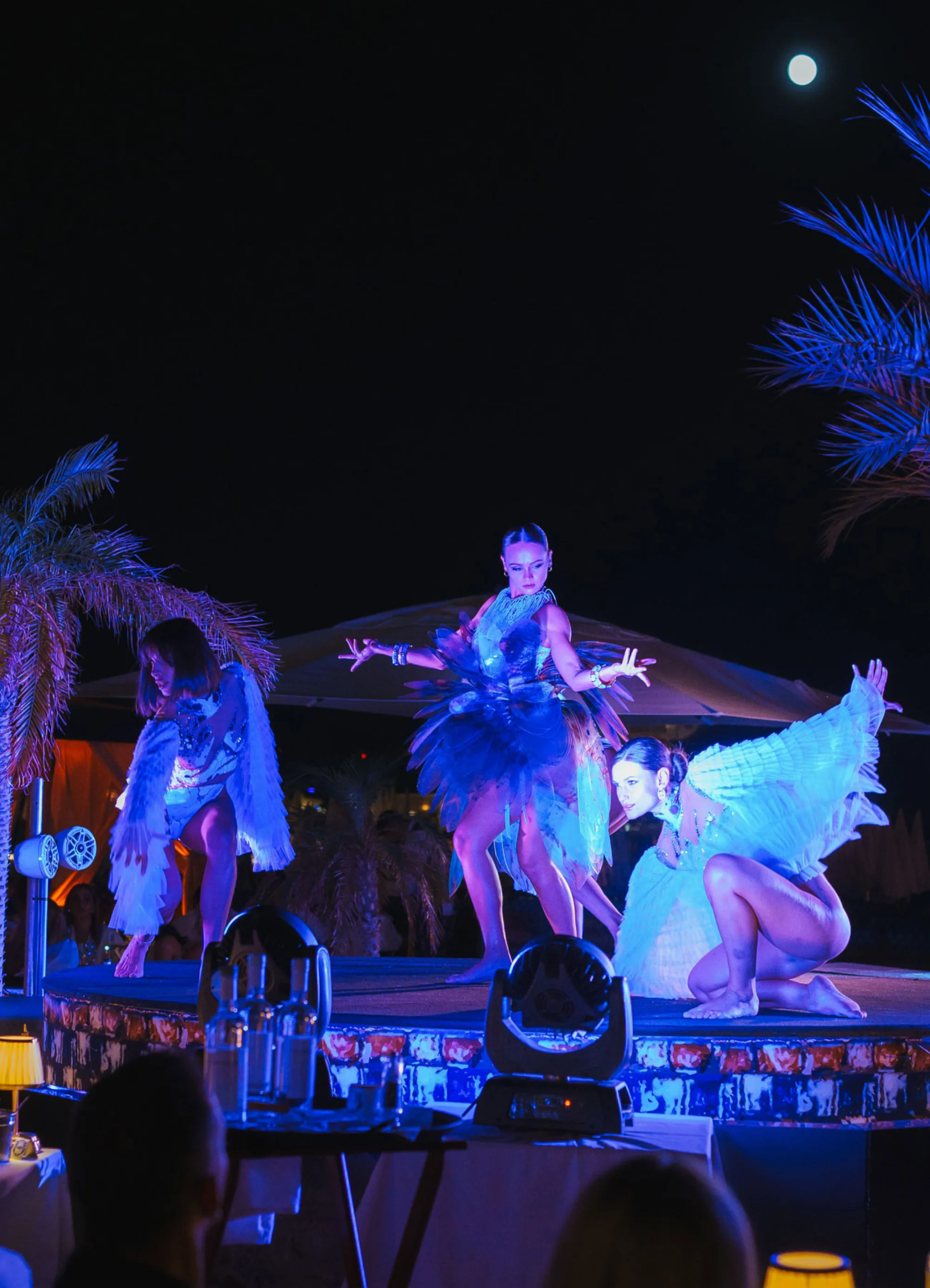 Annex Beach - dinner show at night
