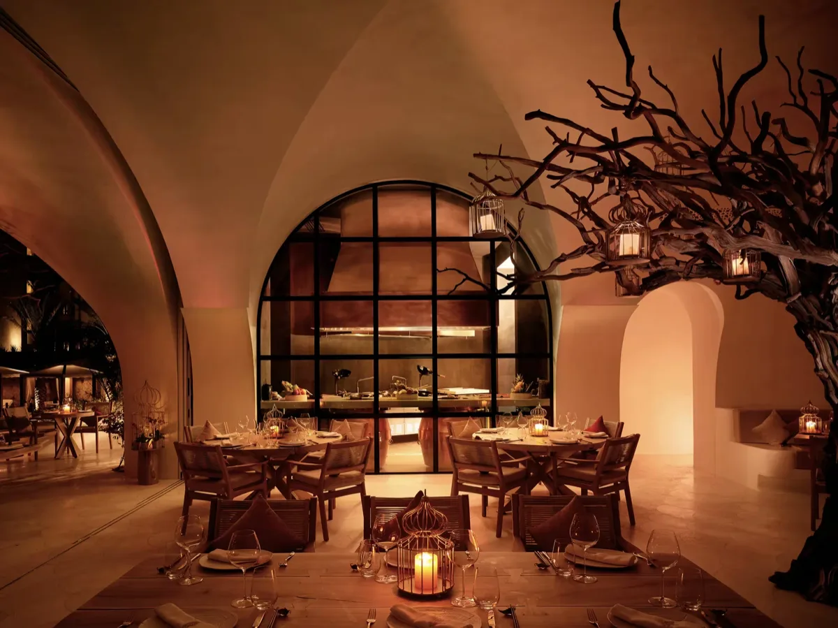 Arbol, restaurants in Cabo 2
