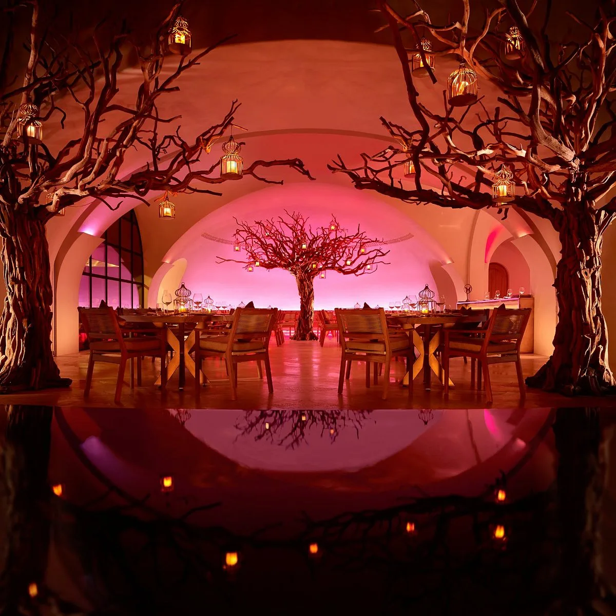 Arbol, restaurants in Cabo 4