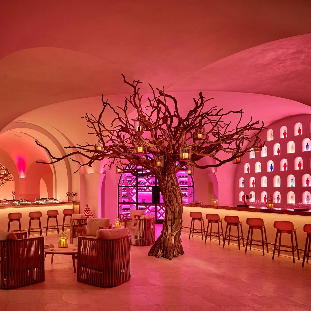 Arbol, restaurants in Cabo 5