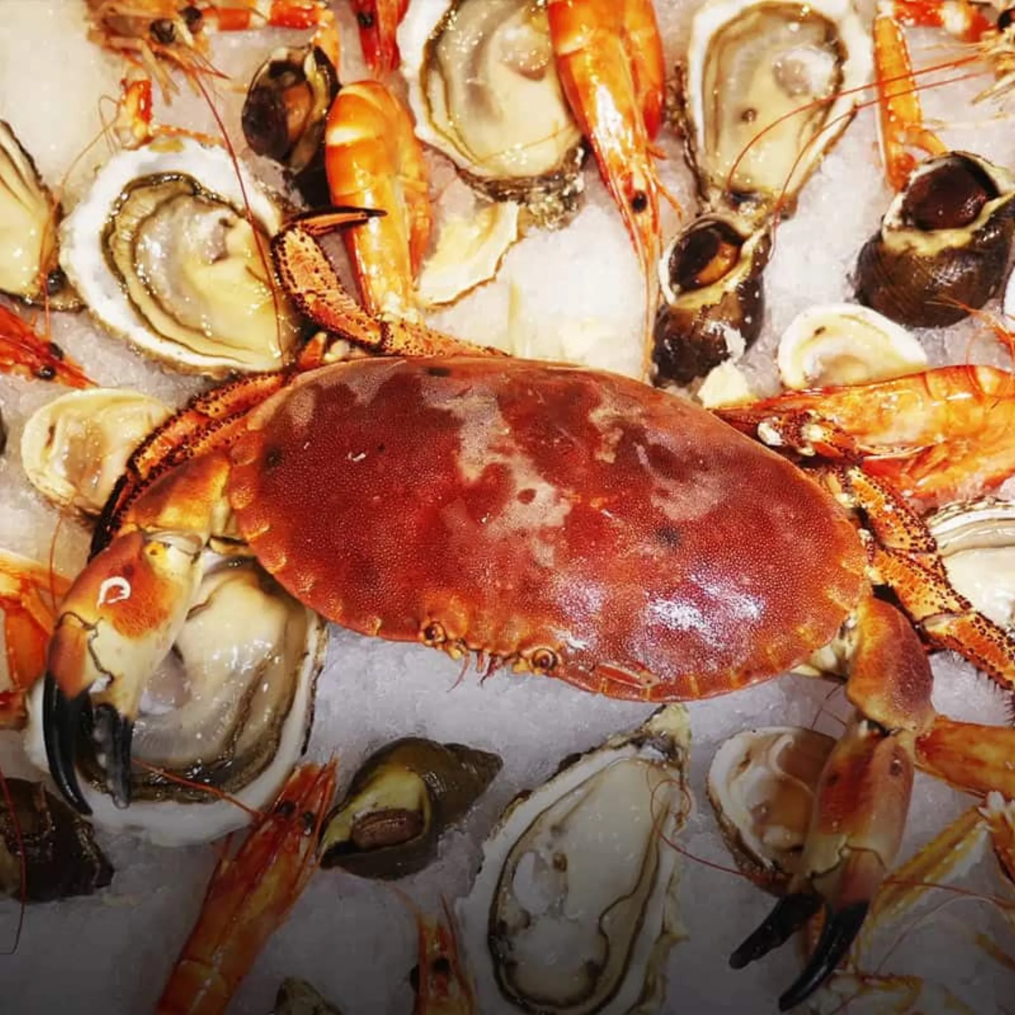 Astoux et Brun - shellfish on ice