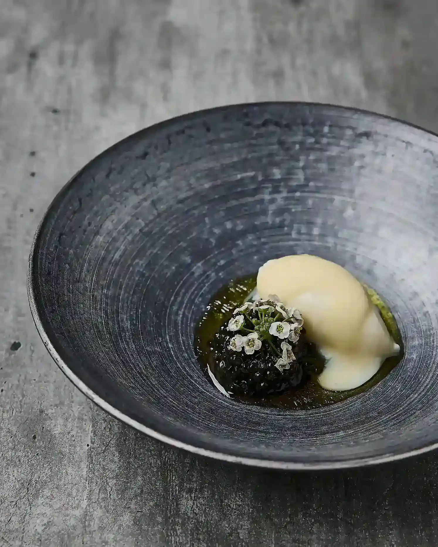 AVANT - food plated dish in bowl