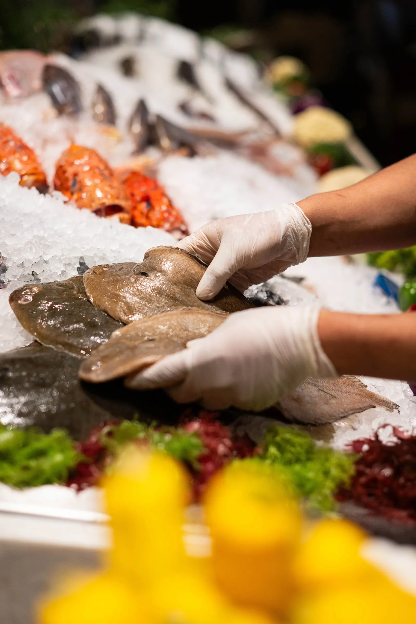 Avra Beverly Hills - whole fish display