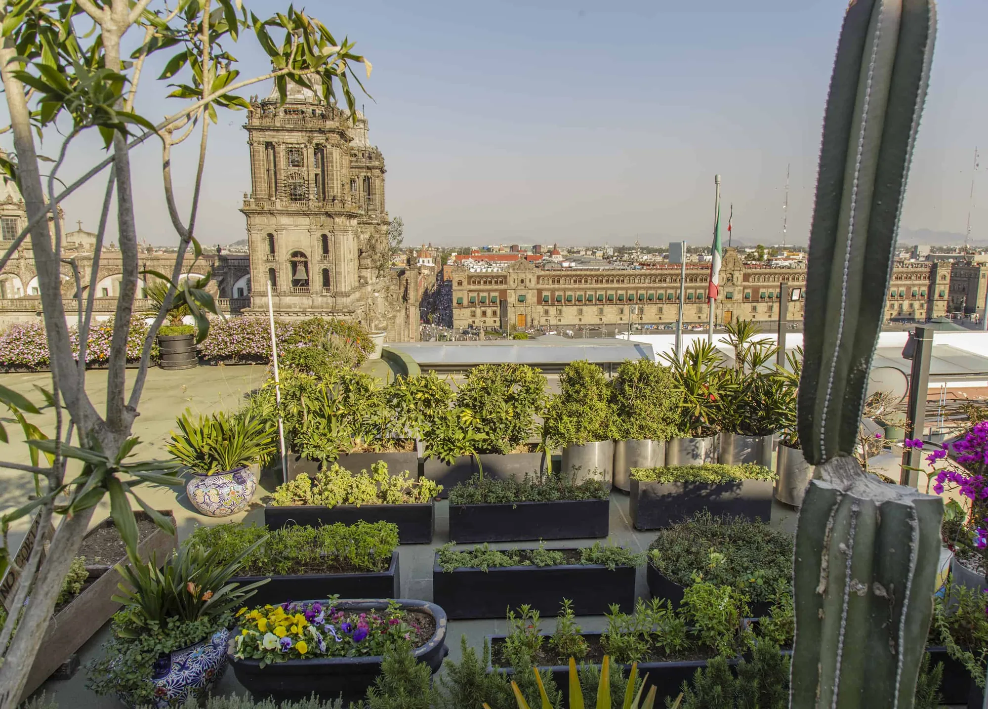 Balcon del Zocalo - rooftop bar in Mexico City