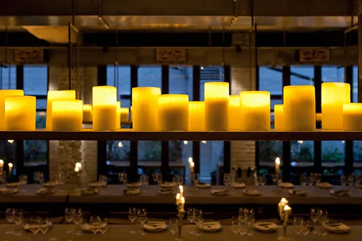 Beast - candle chandelier detail