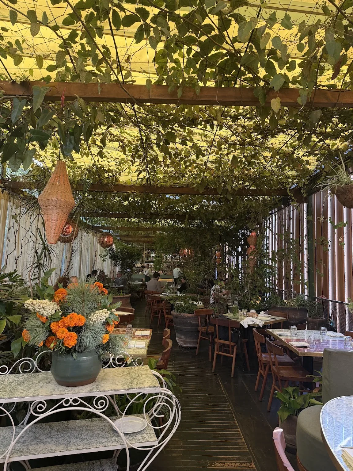 Bella Aurora - vine covered terrace with iron chairs