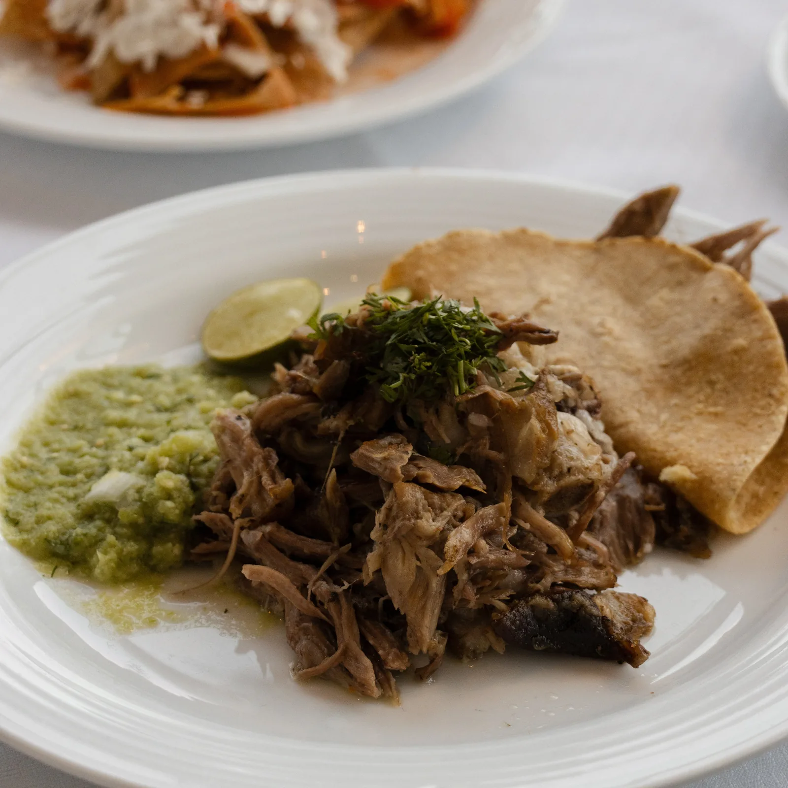 Bellini - cochinita plate
