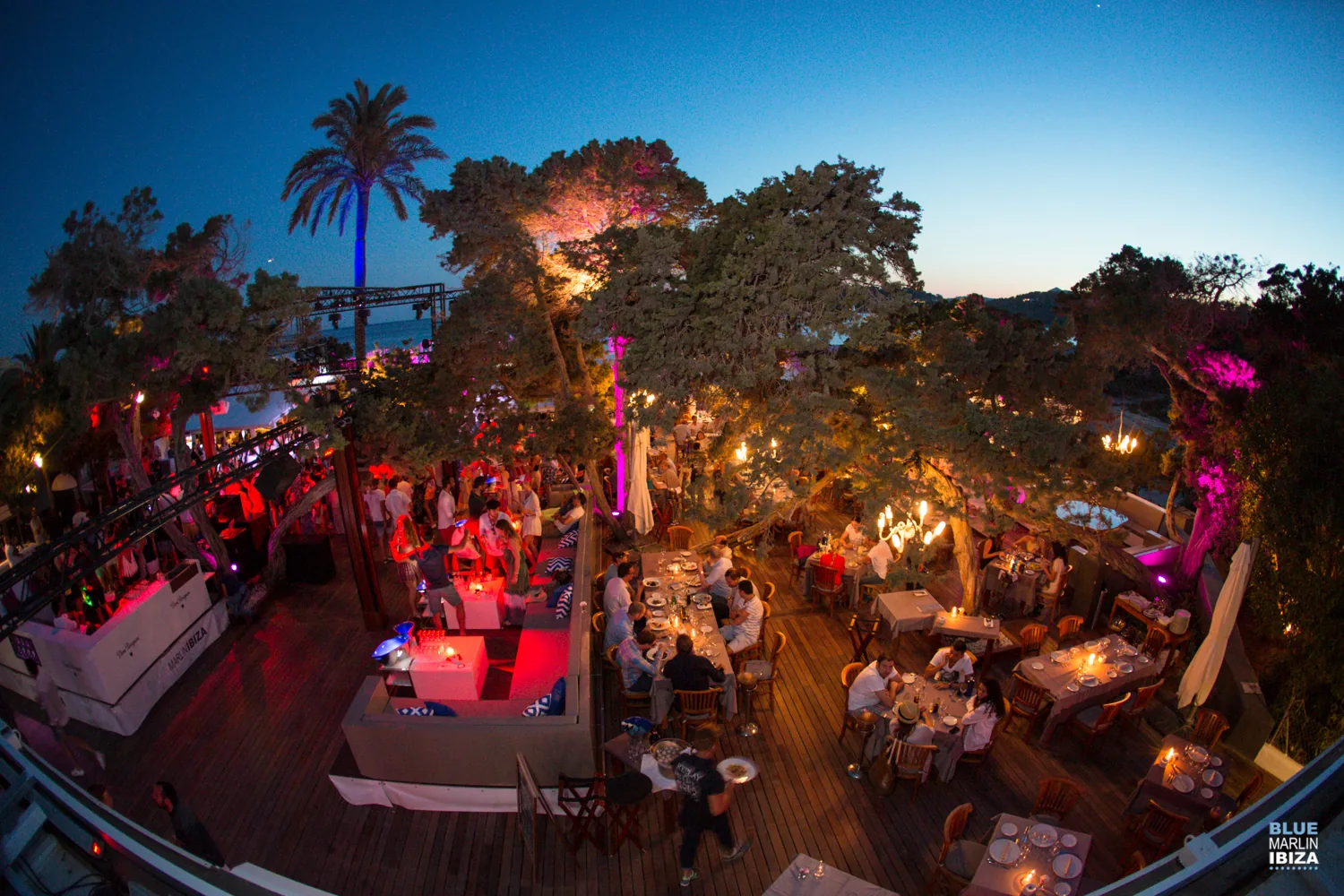 Blue Marlin - mediterranean restaurant 2