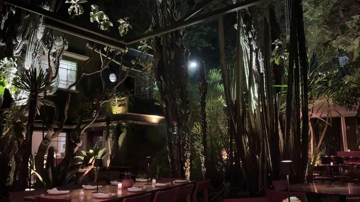 Botanico - garden dining room at night
