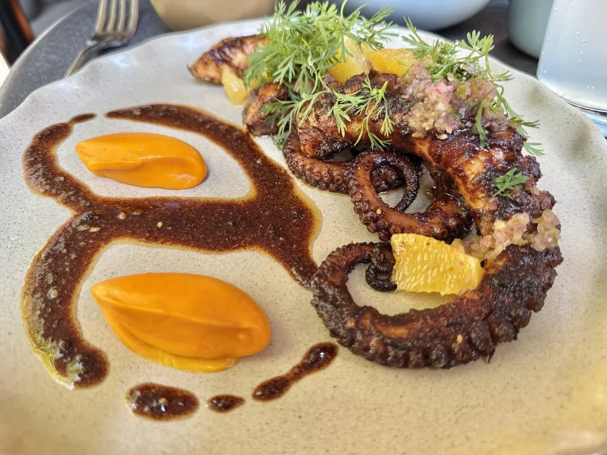 Botanico - grilled octopus with mole