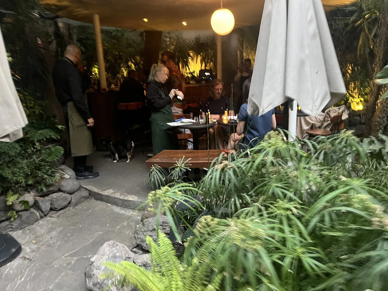 Botanico - terrace with umbrellas at night