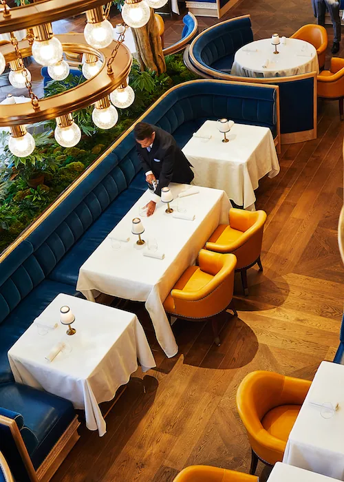 Cafe Carmellini - restaurant in New York