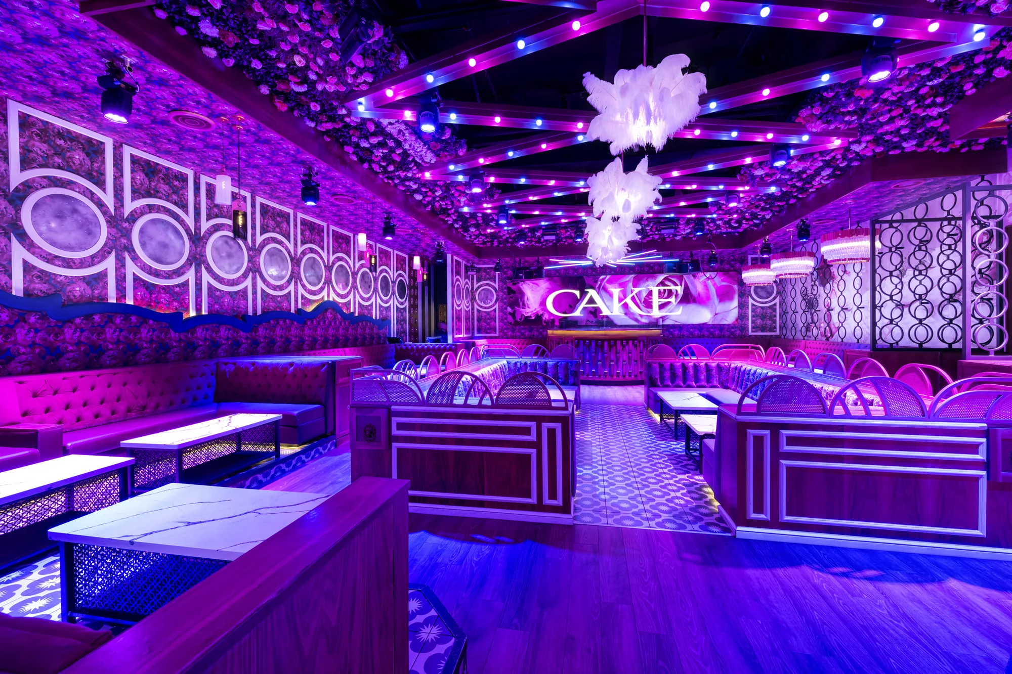 Cake Nightclub - nightclub in Scottsdale