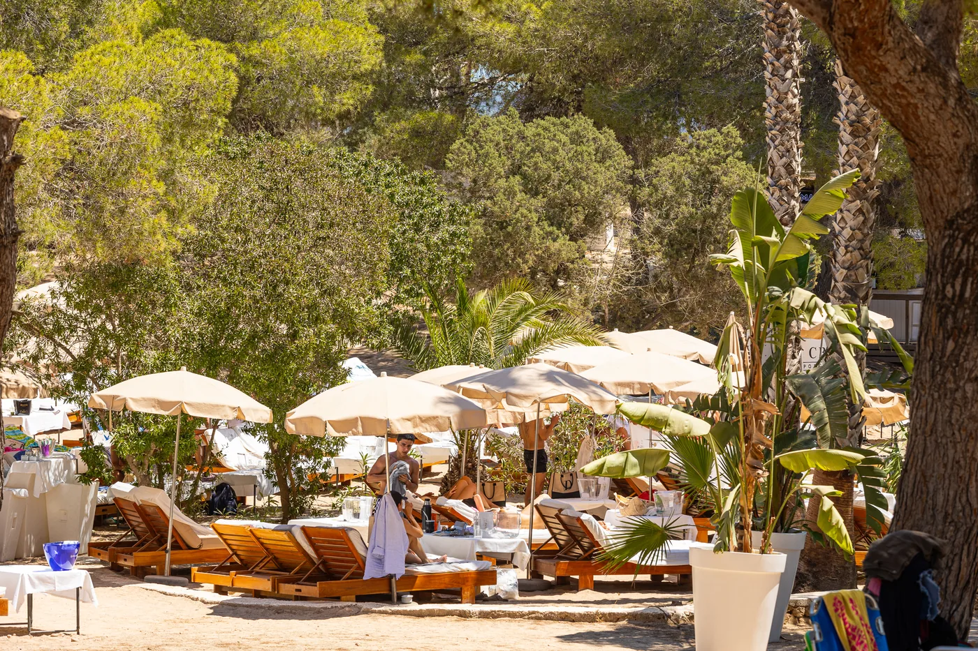 Cala Bassa Beach Club - cove sunbeds