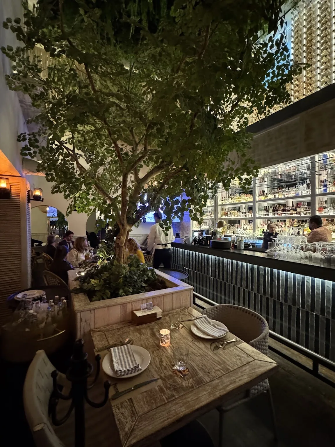 Campomar - Masaryk - terrace seating under tree