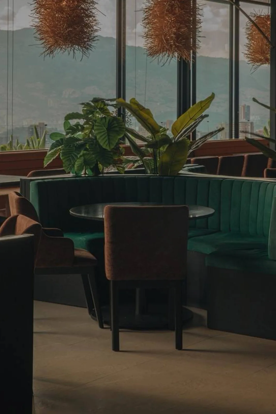 Cannario Rooftop - terrace window