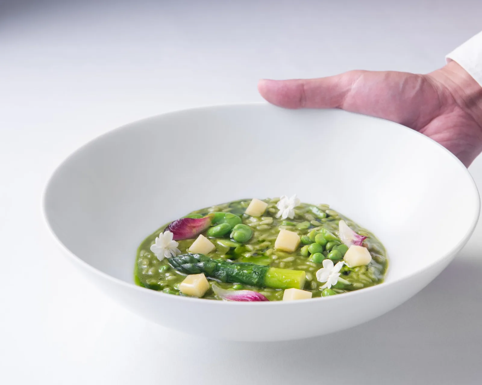 Cannubi by Umberto Bombana - food green pea risotto