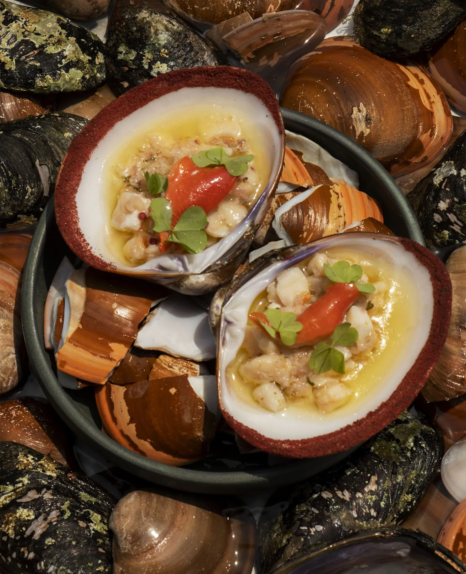 Caracol de Mar - clams served in broth