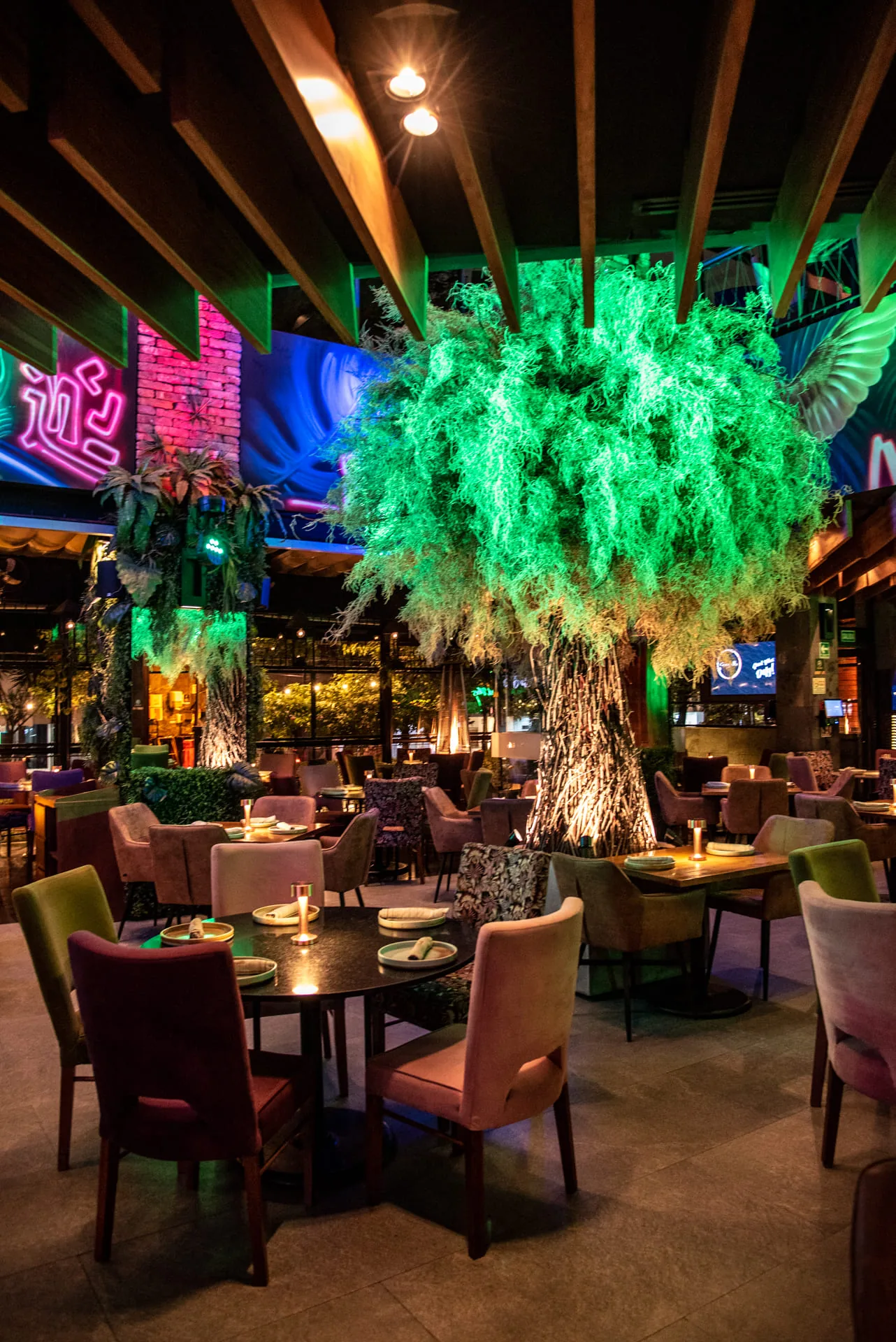 Carajillo - Masaryk - dining room under the green feather tree
