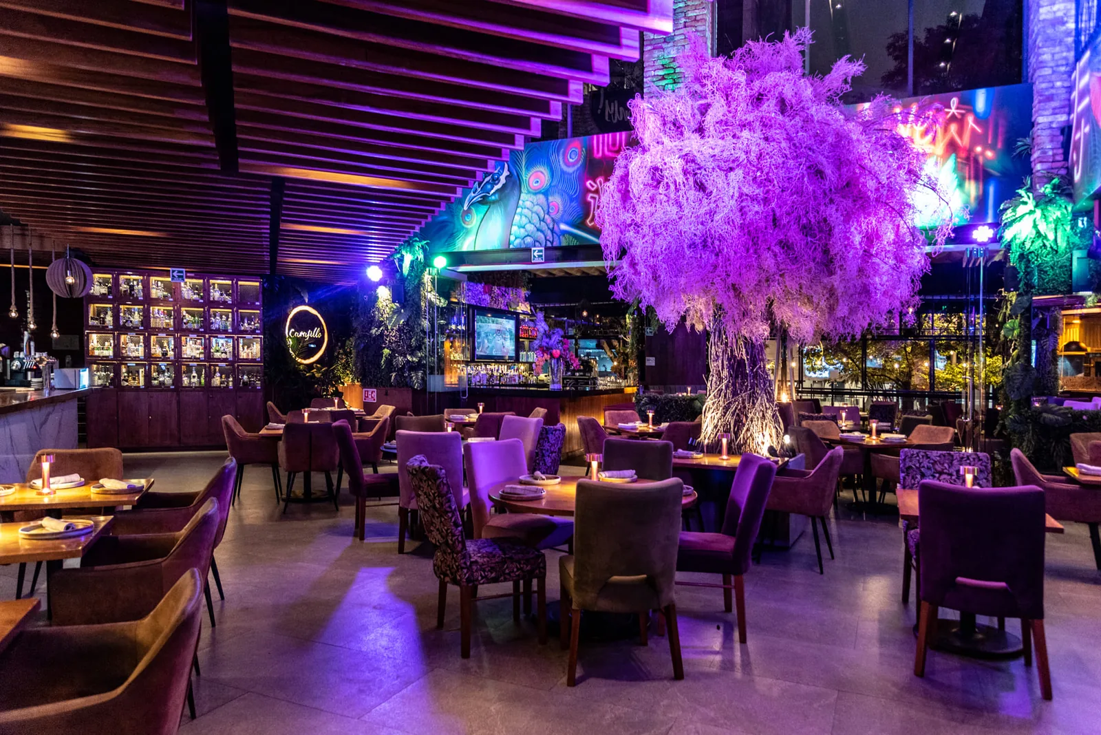 Carajillo - Masaryk - dining room under purple lighting