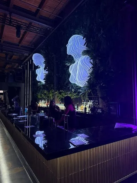 Carbon - nightclub chicago 2