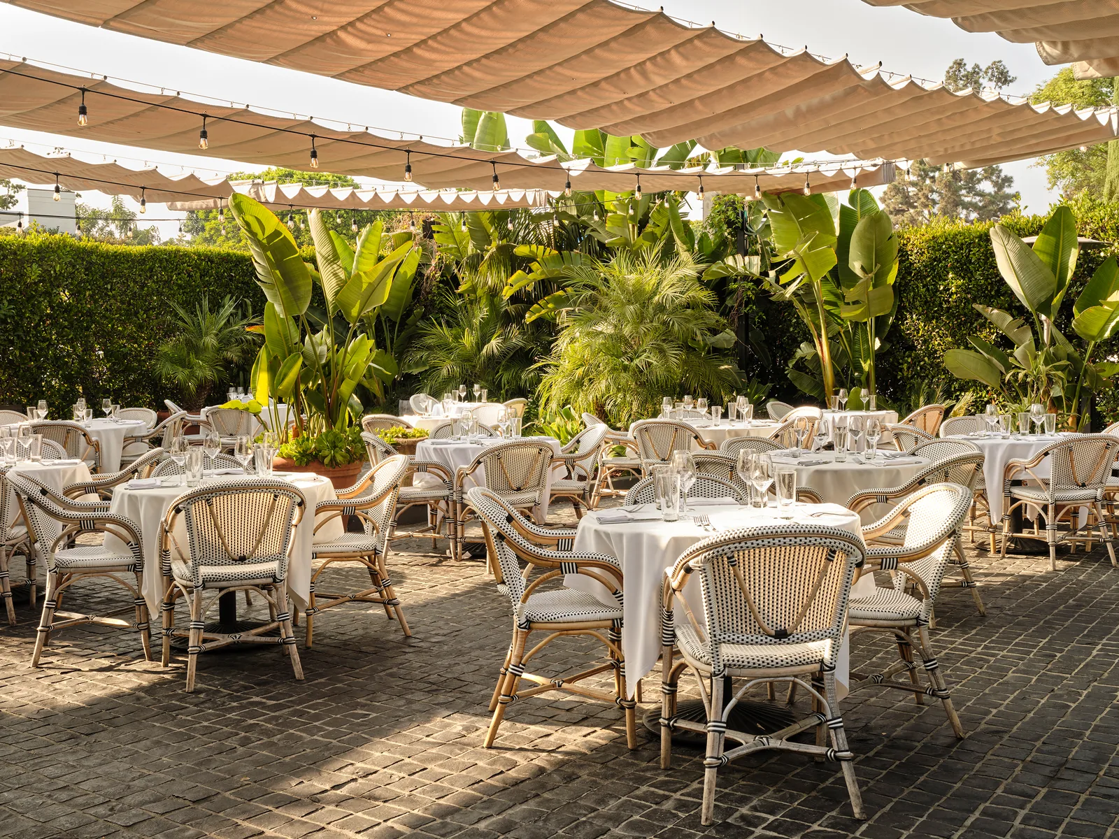 Cecconi's West Hollywood - garden terrace