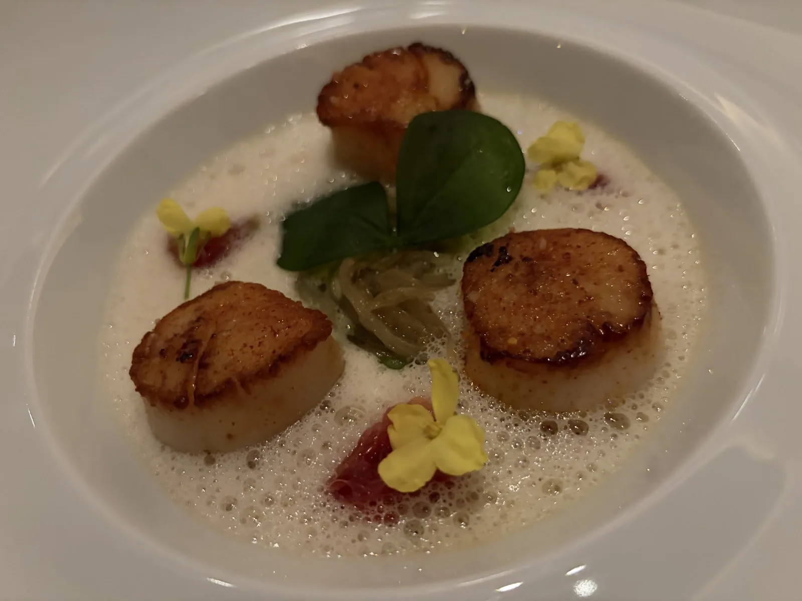 Citrin - scallop course