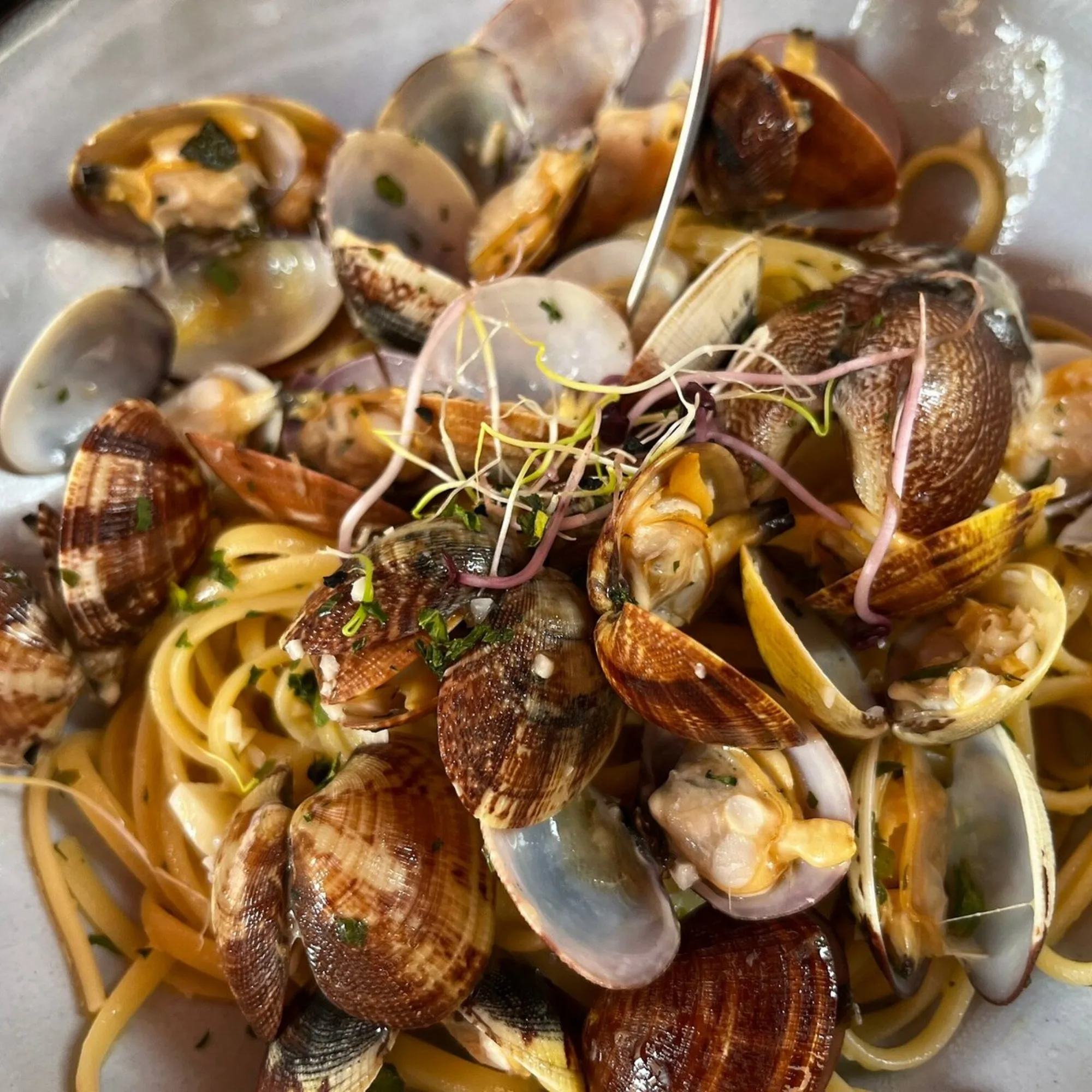 Clandestino - clam linguine