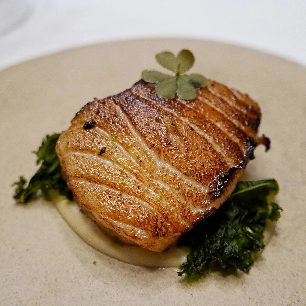 Coda - food seared fish course