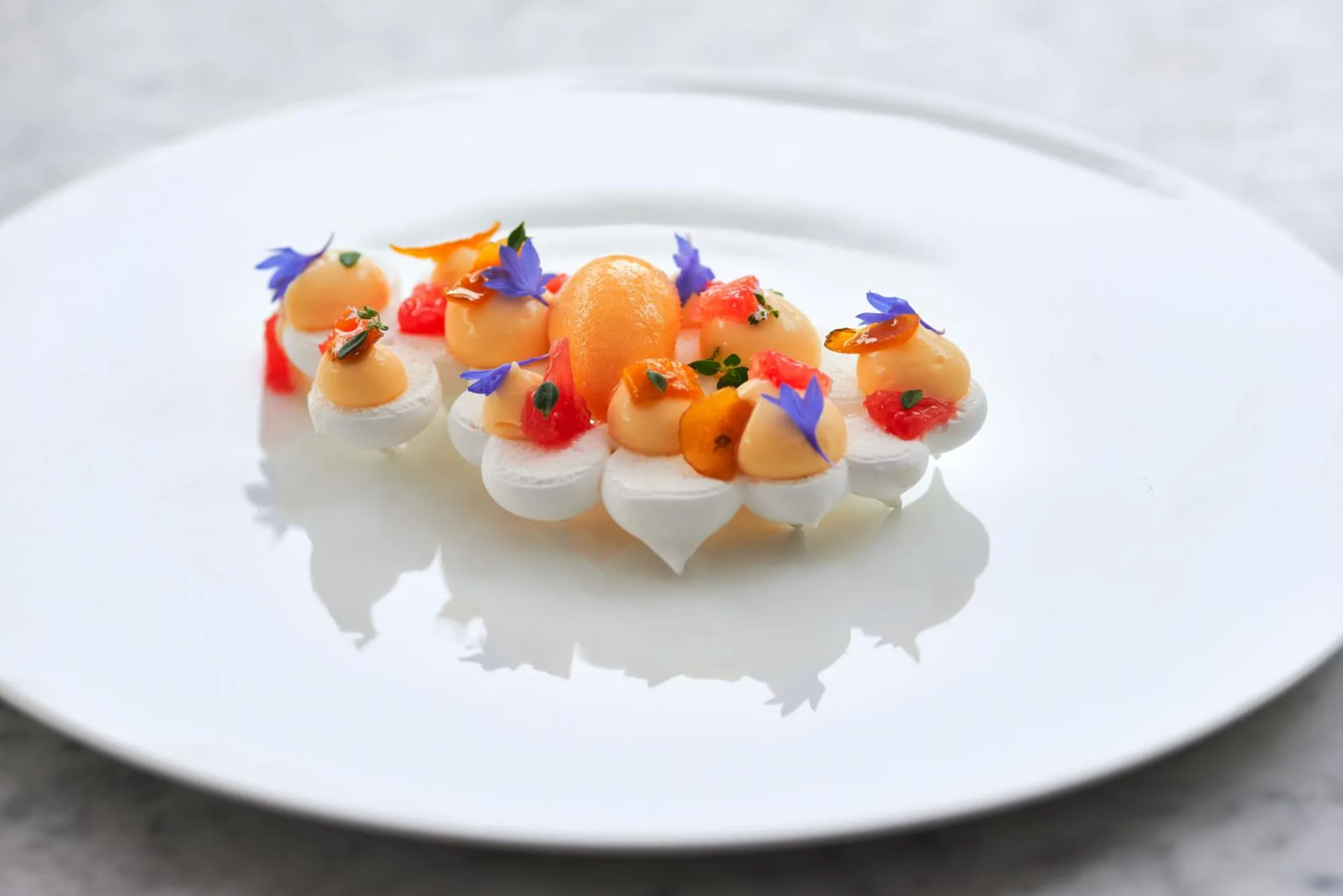 Colette - plated citrus starter