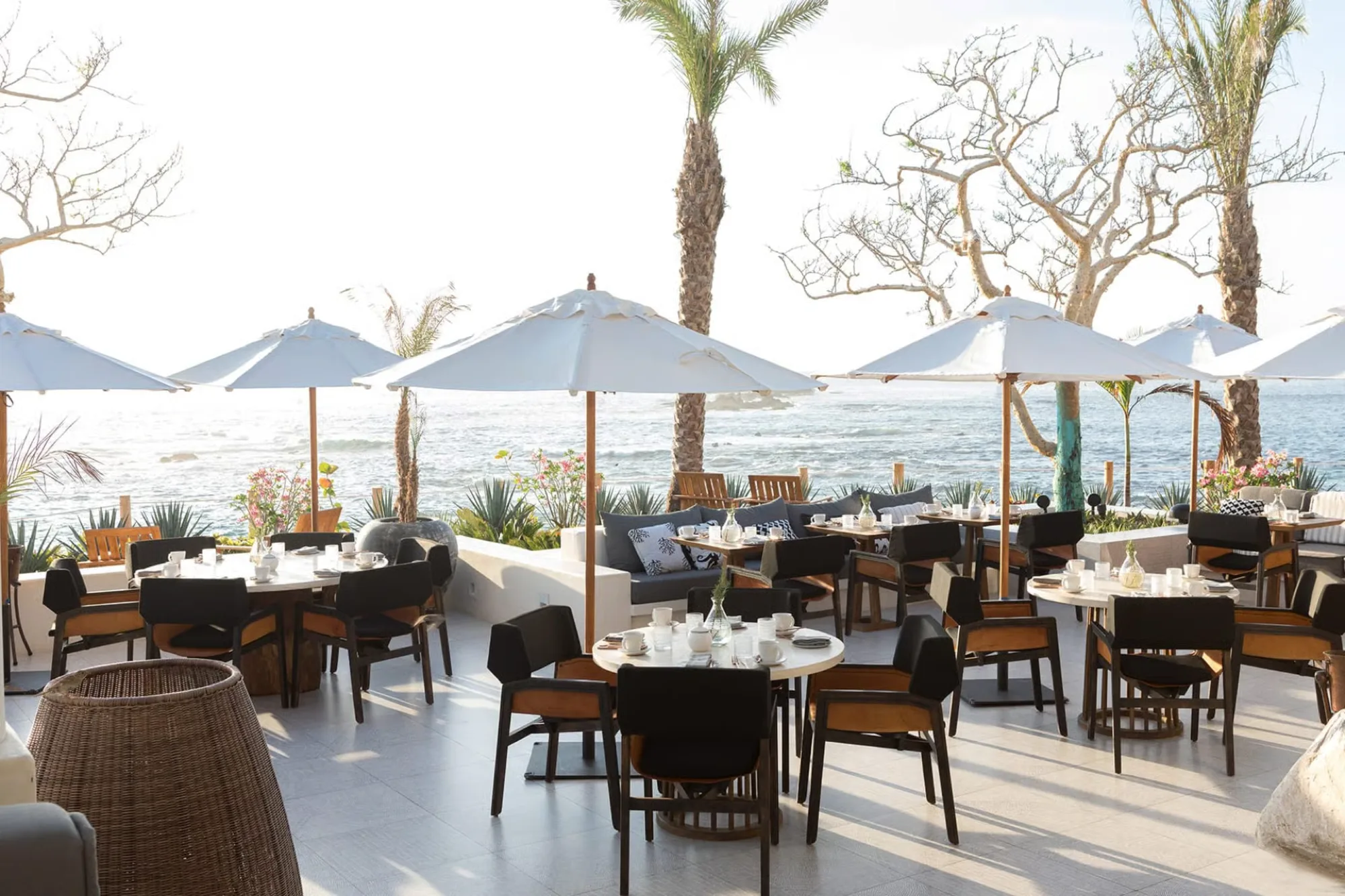 Comal - restaurant in Cabo