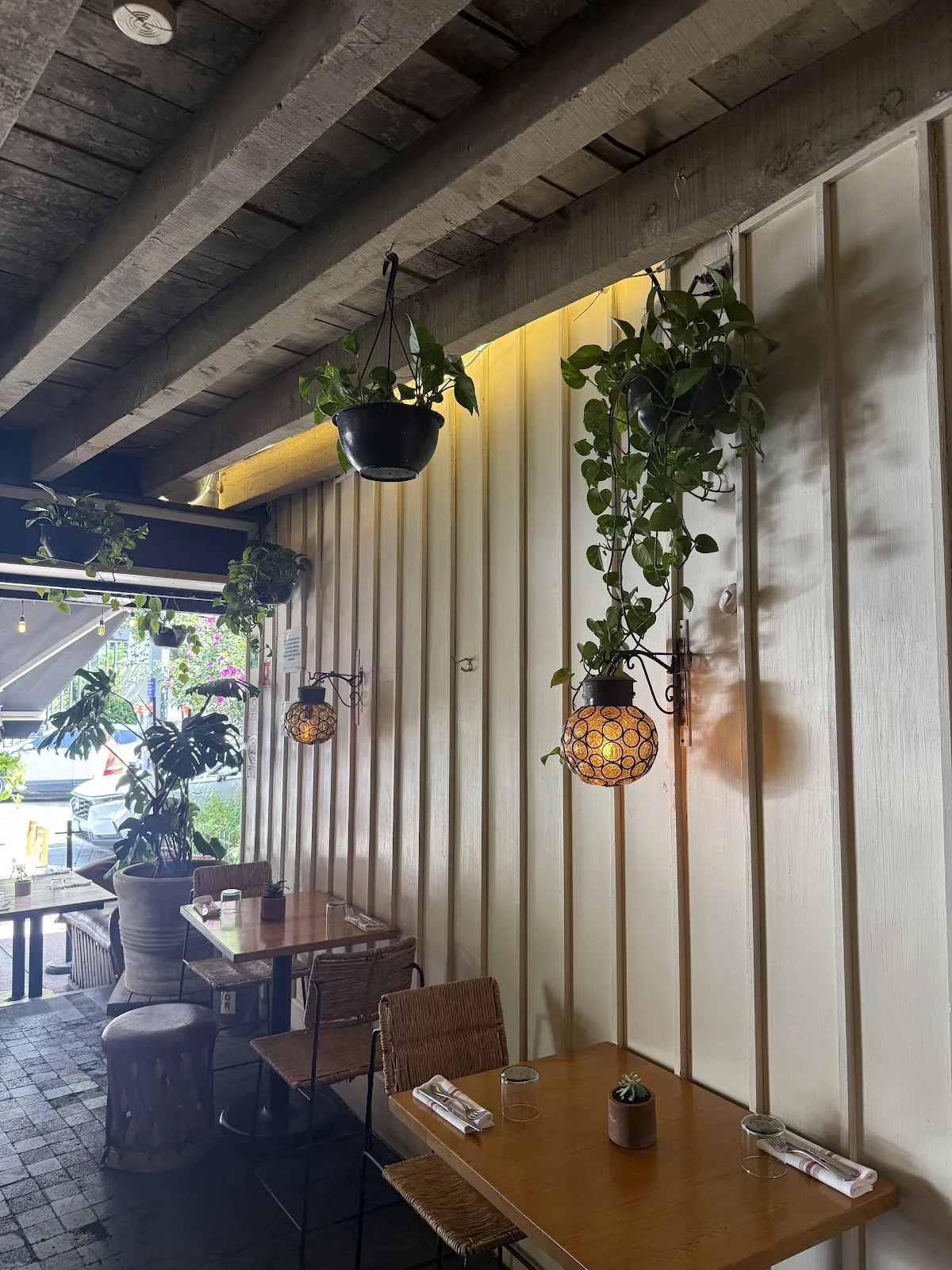 Comedor Jacinta - interior with hanging plants