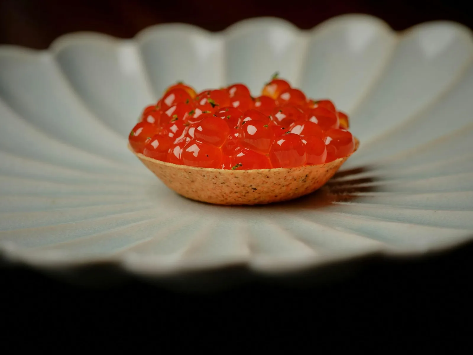 Corridor 109 - ikura tart