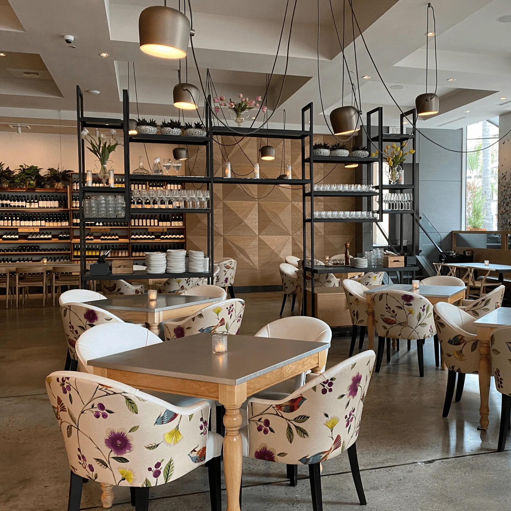 Cucina Urbana - restaurant in San Diego