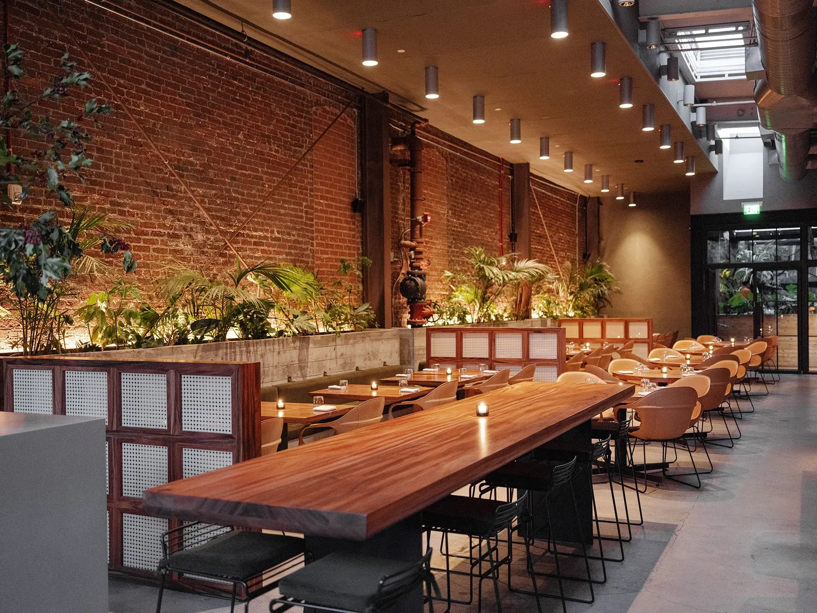 Damian - restaurant in Los Angeles