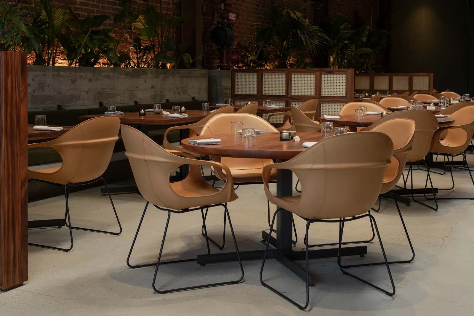 Damian - dining room