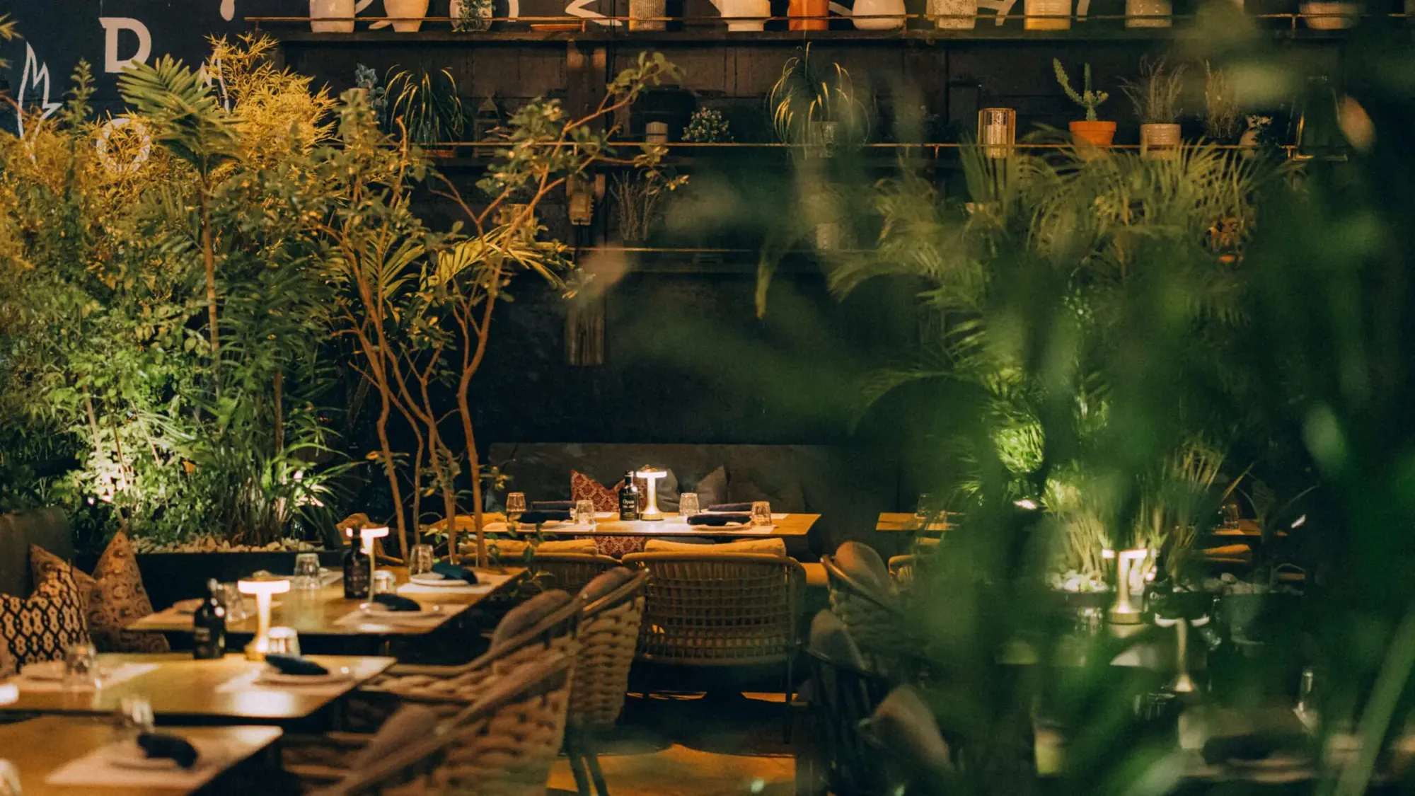 Doya - garden patio night