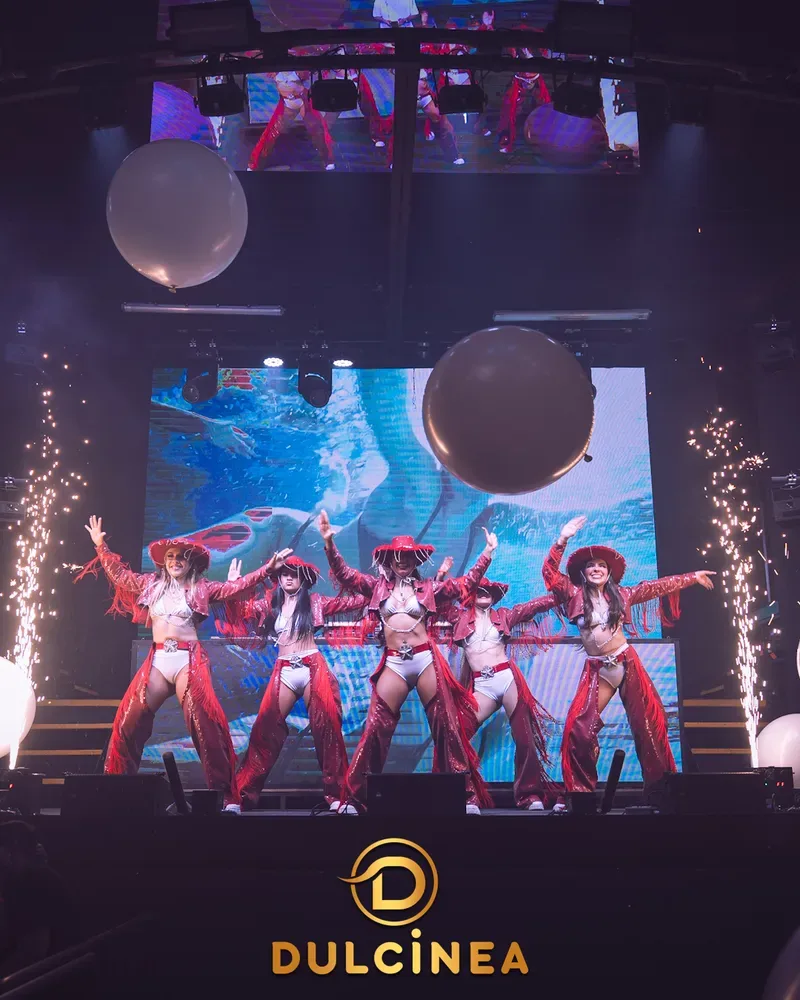 Dulcinea - dancer show