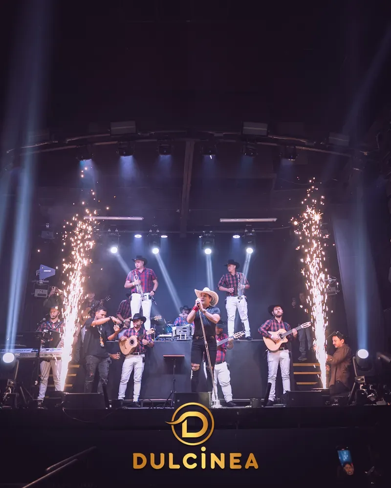 Dulcinea - live band