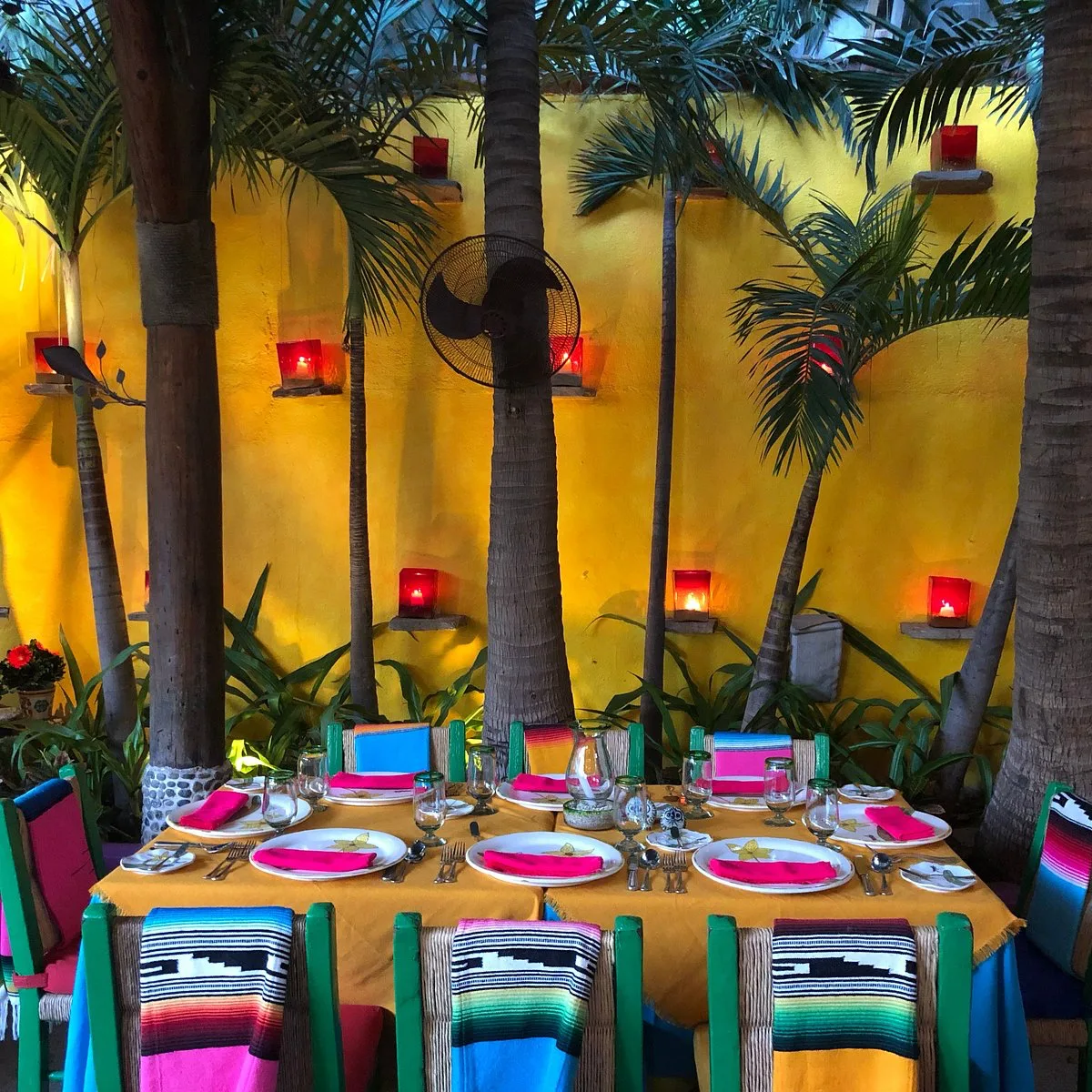 Edith's Restaurant, restaurants in Cabo 3