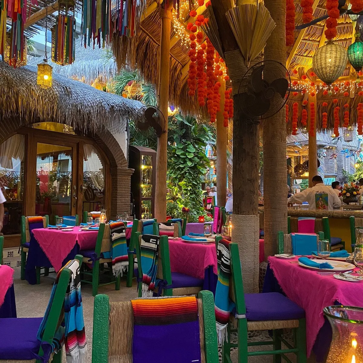 Edith's Restaurant, restaurants in Cabo 6